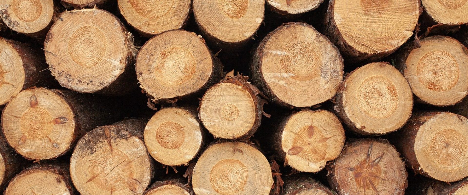 selection-wooden-stumps-countryside